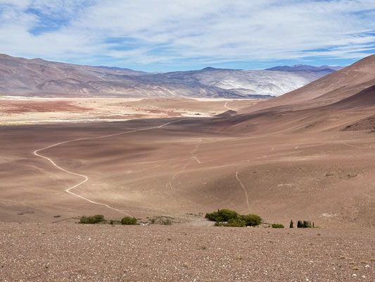 ...hinunter zum "Salar de Antofalla"