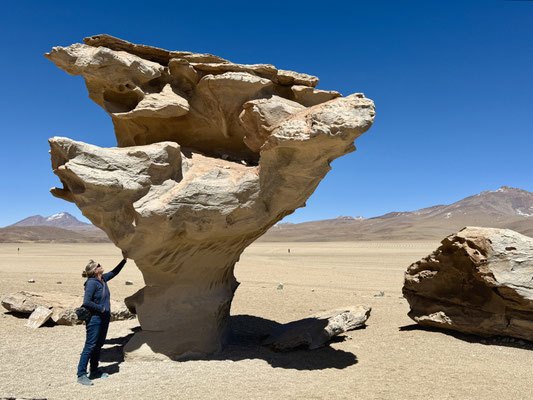 ...der "Arbol de piedra"