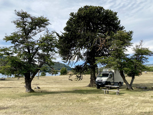 Wir sind wieder in Chile, am Lago Icalma