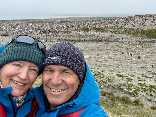 Pinguine bis zum Horizont
