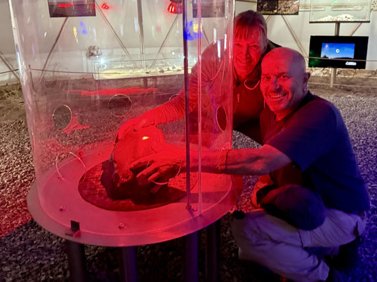 ...und dürfen diese sogar richtig anfassen!