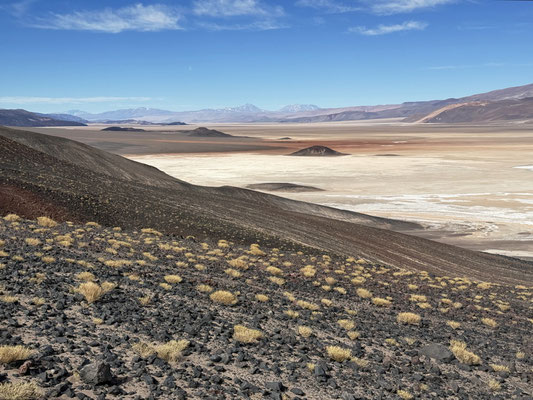 Puna / Argentinien