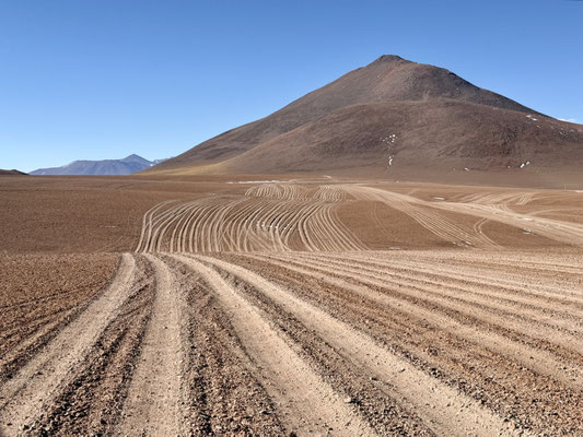 Wir dürfen auswählen!