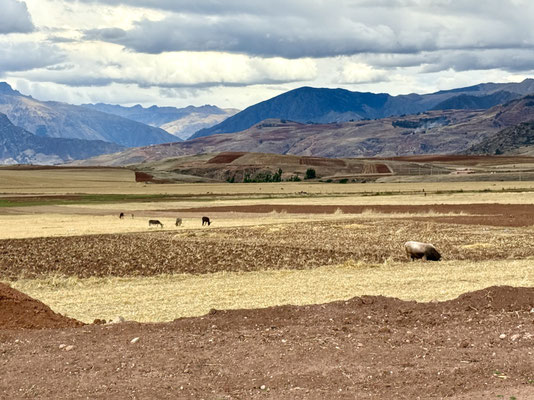 Übers Land