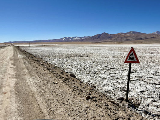 Die alte Zugstrecke führte auch über den Salar de Pocitos