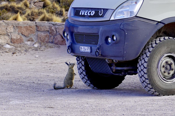 Da möchte jemand mitfahren ;-)!