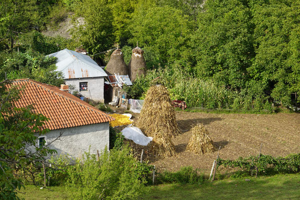 ...und überall chli Garten