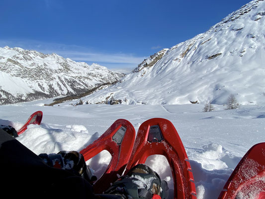 Pause auf der Alp