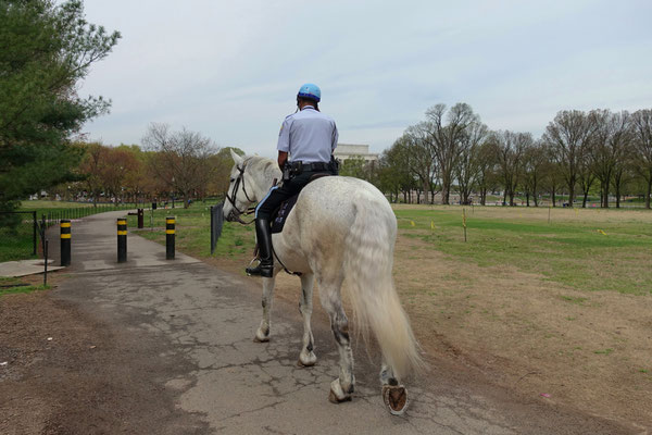 Hoch zu Pferd gehts auf Patrouille