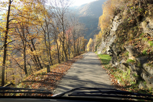 Auf Nebenstrassen durch Kastanienwälder