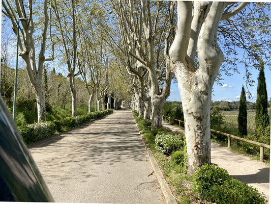 Endlose Allee