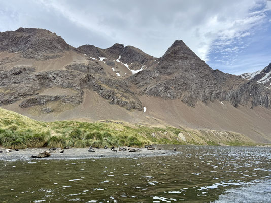 Berge und Tiere