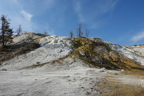 Bei den Mammoth Hot Springs, eine wahre Wunderwelt!