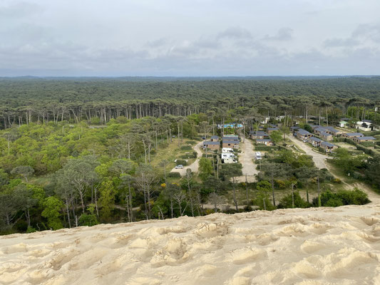 Sand und Wald...und der Iveco