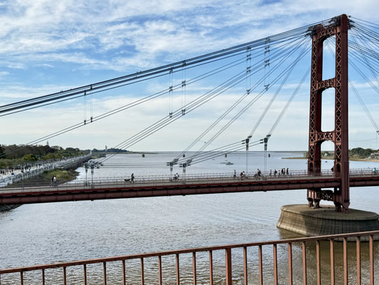 Über den Rio Parana