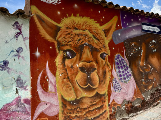 Alpacas sind überall