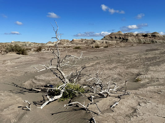 Tolle Landschaften
