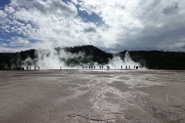 Der Yellowstone ist gut bevölkert