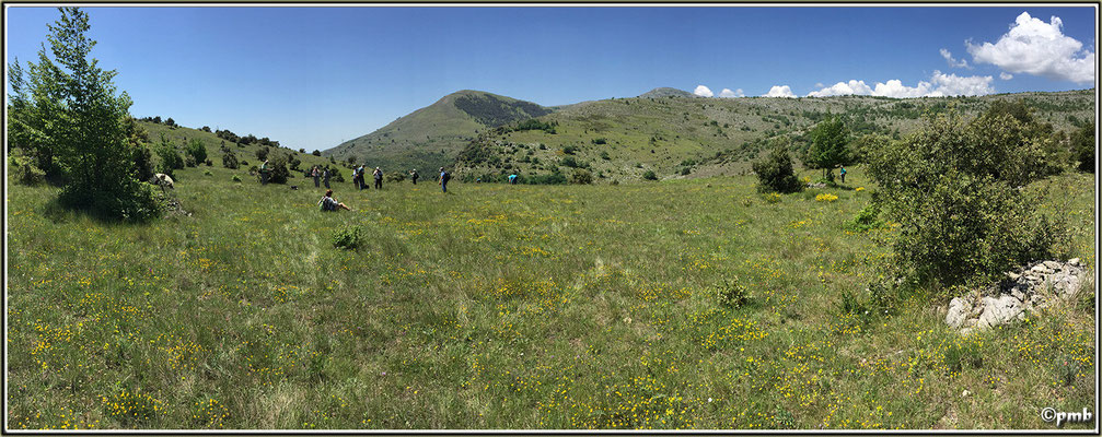 Panorama station