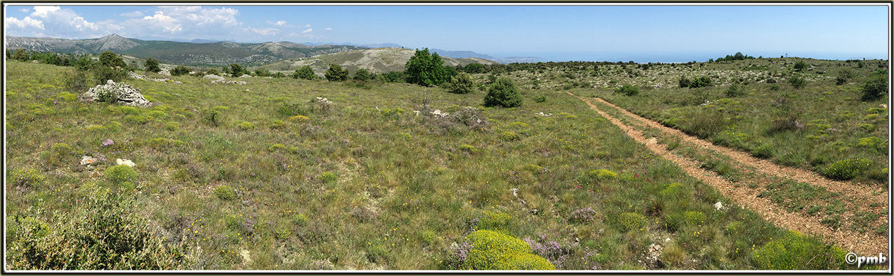 Panorama station