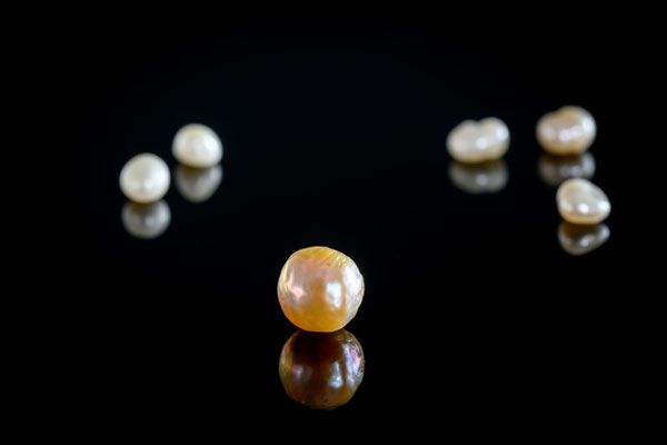 びわ湖で生まれた奇跡の宝石「びわ湖パール」 - biwako-pearls ページ！