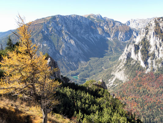 Trenchtling über dem Grünen See