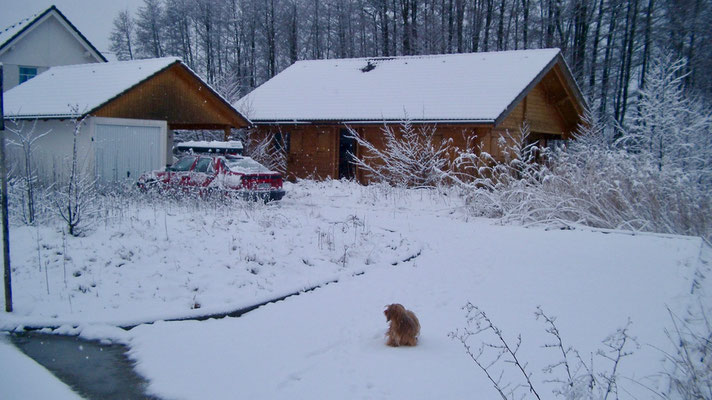 House in the winter. Picture 1