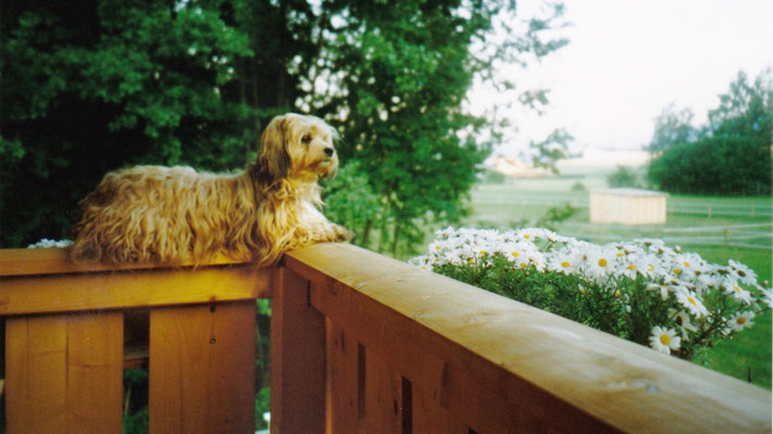 Jodie on the balcony.