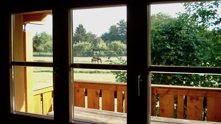 View from the livingroom to the terras.