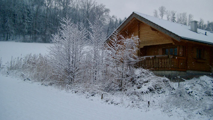 House in the winter. Picture 2