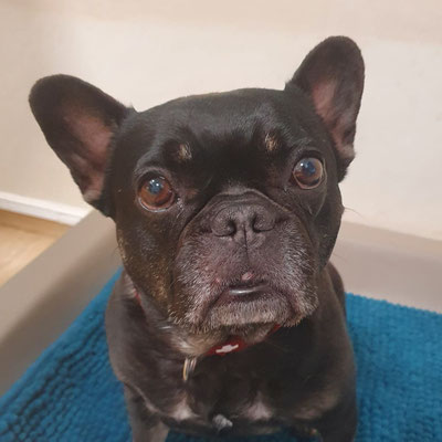 Coco