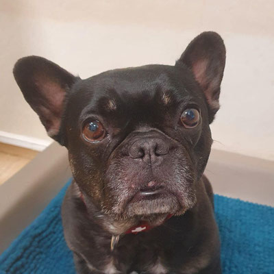 Coco