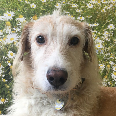 Rusty