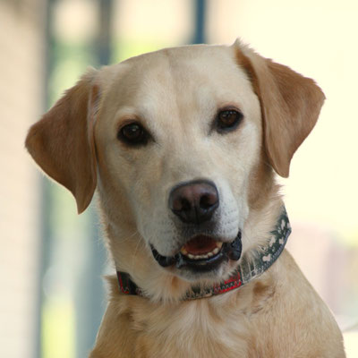 Benny