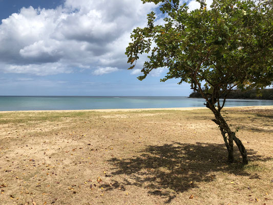 Vente immobilier appartement OCADIA VUE MER pied dans l'eau VUE MER ile maurice par JINVESTY