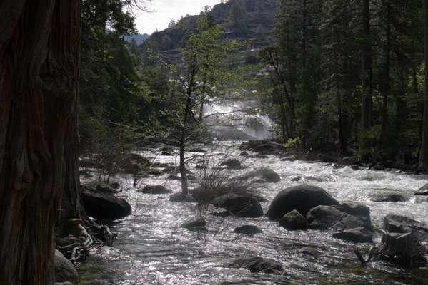 Rancheria Creek, Yosemite
