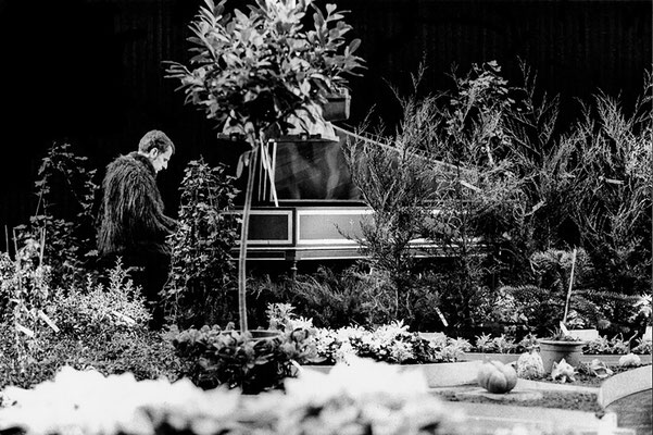 In Earth | Kampnagel Hamburg 2001