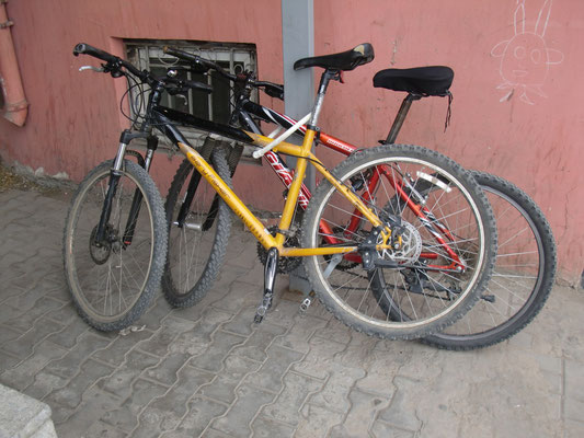 Bikes, in use