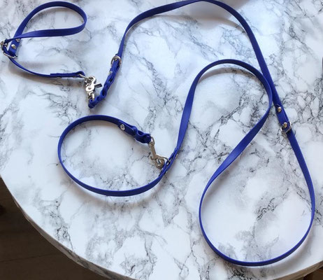 Doppelleine plus Halsband Biothane blau, 12mm breit, 2 Meter lang - verkauft