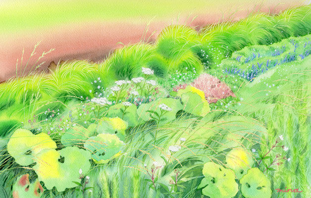 道端の草たち イラストレーター 美奈 のホームページ
