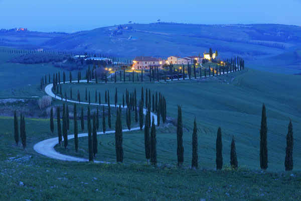 Fabio Muzzi - Colline toscane