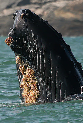 NAMIBIA