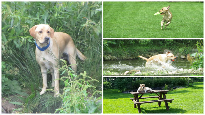 Buddy heeft genoten, en de baasjes niet minder!