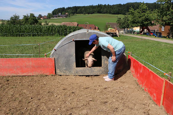 Heidi versteht sich super mit den Rennschweinchen