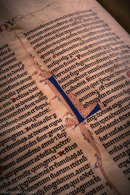 Bibliothek Stift Admont / © Hans Schubert