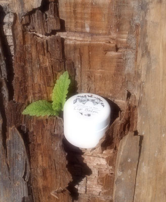 Lippen-Balsam "Anti-Herpes"
