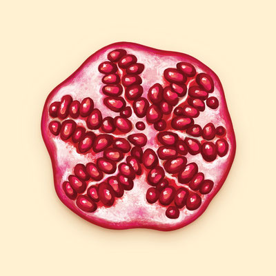 © Illustration für Beutelsbacher Fruchtsaftkelterei GmbH, Auftraggeber: Dittus Design | Packaging Design & Branding