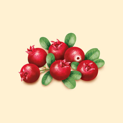 © Illustration für Beutelsbacher Fruchtsaftkelterei GmbH, Auftraggeber: Dittus Design | Packaging Design & Branding