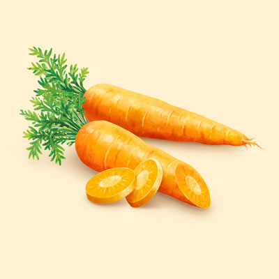 © Illustration für Beutelsbacher Fruchtsaftkelterei GmbH, Auftraggeber: Dittus Design | Packaging Design & Branding