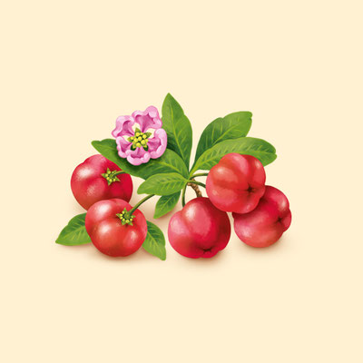 © Illustration für Beutelsbacher Fruchtsaftkelterei GmbH, Auftraggeber: Dittus Design | Packaging Design & Branding